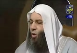 إلا رسول الله (12/2/2008) فضفضة