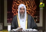 المرأة في الإسلام (28/4/2011) أحكام النساء