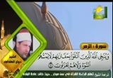 سورة الزمر - الشيخ حجاج الهنداوي (17/8/2011) تلاوات قرآنية