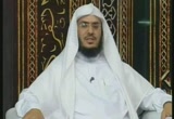 سورة الممتحنه (20/7/2012    )التفسير المباشر 
