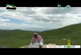 من أنا من اتبع ماذا افعل(   من أجلك    )