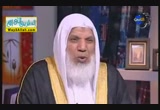 آية 82 من سورة المائدة (11/8/2012) قصة آية