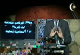 حكم خروج المعتدة للعمرة والحج (11/8/2012) فتاوى الصيام