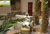جلوس النبي مع أصحابه (2/8/2012) اليوم النبوي