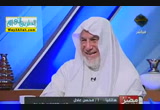 الصكوك الاسلامية و افلاس مصر ( 31/12/2012 ) مصر الجديدة