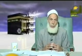 نتائج الهجرة الى الحبشة (12/8/2008) السيرة النبوية