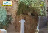 شجرة العليق ( 24/7/2013) حكاية بس حكاية 