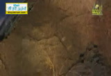 تأثير القرآن على وظائف الجسم ( 27/7/2013) أفلا يتدبرون القرآن 