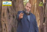 الجراد ( 1/8/2013) الحيوان يعظ 