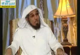 العفو (9/11/2013) نبض