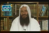  تفسير القرآن الكريم ( 24/11/2013)