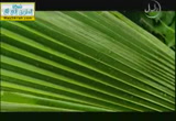 حديث مفاتيح الغيب خمس لا يعلمها إلا الله( 8/1/2014)وما ينطق عن الهوى 