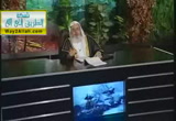 شهر شعبان فضله وأحكامه- بصائر