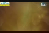طبقات الصحابة( 30/6/2014)من أعلام الصحابة 