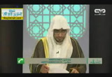 طور سيناء( 9/7/2014)دار السلام 2