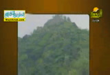 الخنزير يعطى ( 6/7/2014 ) الحيوان يعطى
