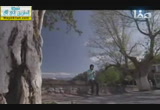 عبد الله بن سهيل بن عمرو رضي الله عنهم( 13/7/2014) أنوار الأرض