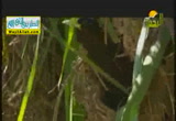 بناء واتقان ( 13/7/2014 ) رحمة للعالمين