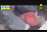 يارب سلم ( 4/12/2014 ) هذا خلق الله