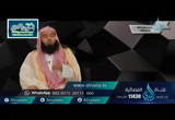 الحلقة 7 سورة آل عمران: من الآية 42 إلى الأية 51 (تفسير)