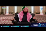( 8)  وَلَقَدْ جَاءَ آلَ فِرْعَوْنَ النُّذُرُ ( المنتقي من التفسير3)