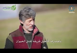 هل نأكل لحم مصعوق؟   (فسيروا 2 )