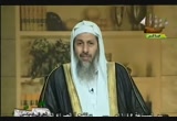 فتاوى الرحمة (12/8/2010)