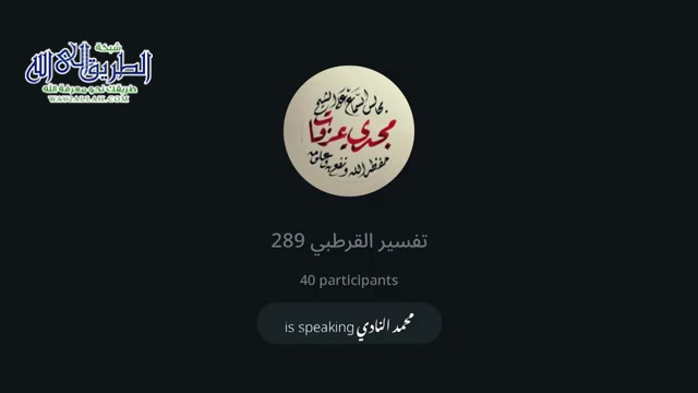 تفسير القرطبي 289