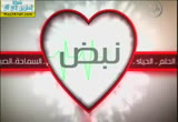 العطاء والفضل ( 2/11/2013) نبض