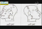 حديث إن كان من شيء في أدويتكم شفاء-الحجامة( 23/4/2014) وما ينطق عن الهوى
